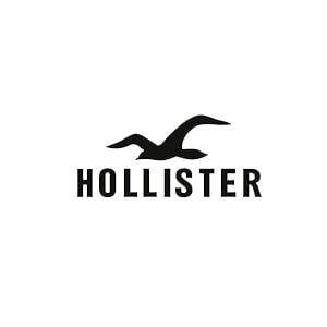 Hollister Logo - Hollister | La Cañada Parque Comercial