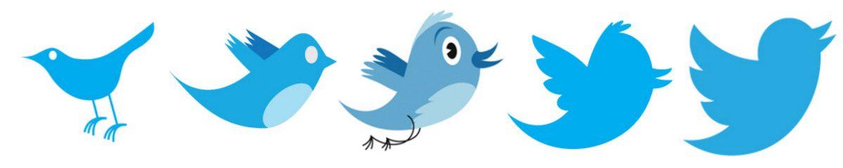White Twitter Bird Logo - The evolution of the social media icon
