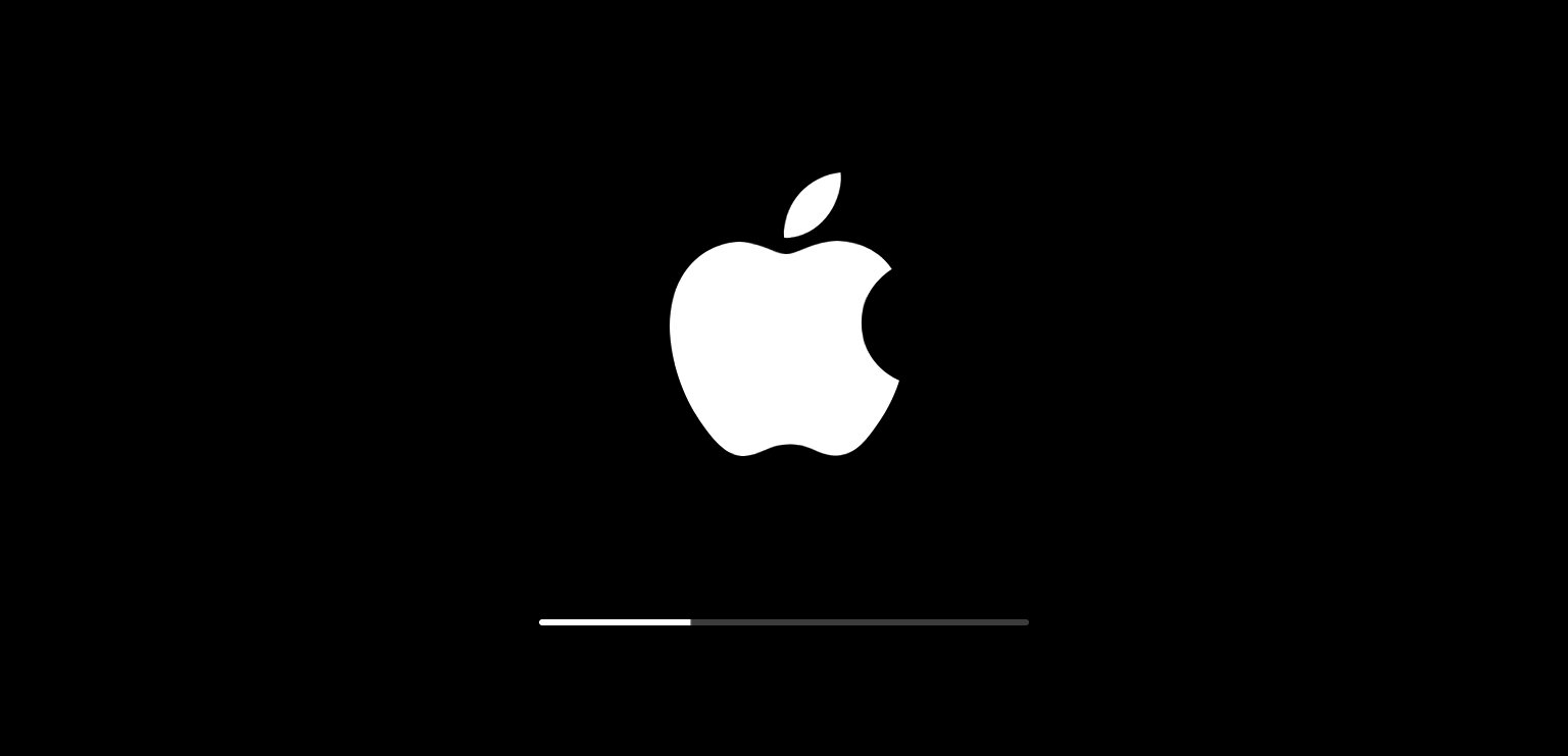Apple Logo - Apple logo with progress bar after updating or restoring iPhone